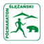 polmaraton-slezanski-logo.png